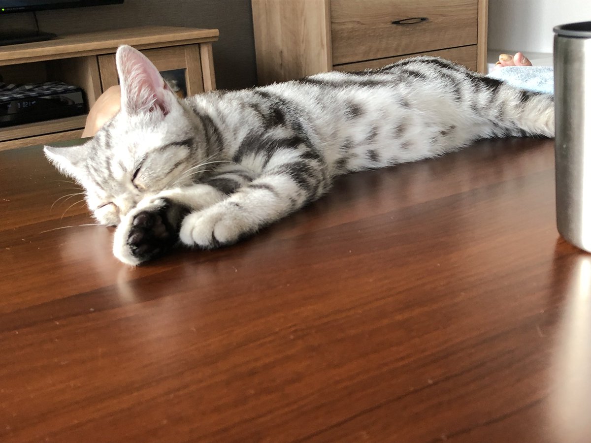 せまこ Sema Cham Twitter