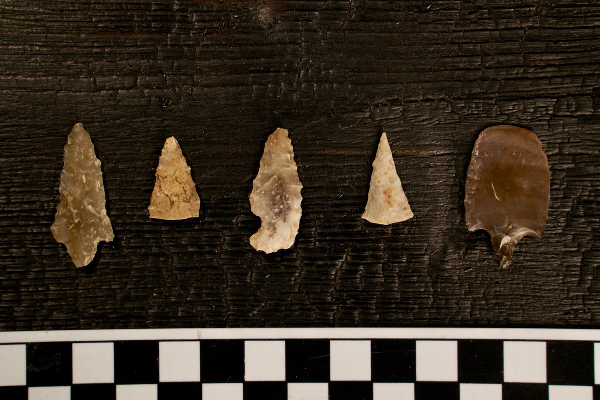 HeadwatersComal's tweet photo. Today, we recognize Indigenous Peoples' Day &amp; the peoples who visited these sacred Comal Springs thousands of years ago. We hope to use the stone tools &amp; materials left behind &amp; found during our 2018 archaeology excavation to share their stories. https://t.co/5iyQcpNBMJ