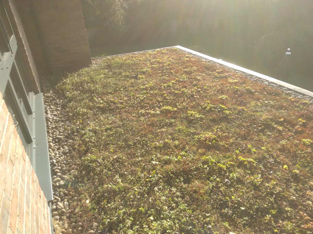 mancgreenroofs's tweet photo. #wilmslow #greenroof https://t.co/KaRkEgXdxo