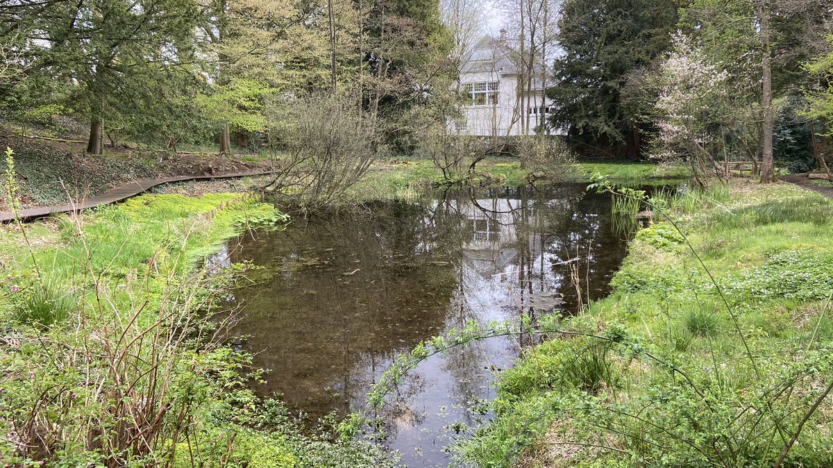 mveldhuis76's tweet photo. Deze week wordt met een pomp ook 100m3 bagger uit de #vijver van de #Zomp gezogen. Dan is daar ook weer wat meer #waterdiepte, kunnen #waterplanten en -#dieren weer floreren. Ik laat er nog wat van zien deze week.. #oosterbeek #baggeren #waterkwaliteit @Gem_Renkum @ValleienVeluwe https://t.co/5EeR0XL8Fj