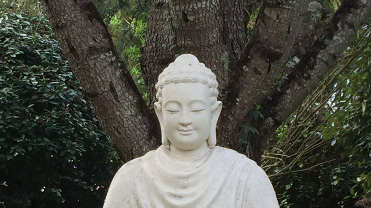 Happy birthday Thay, 95!!