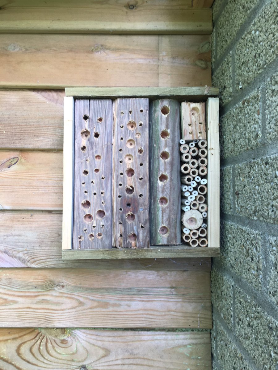 Kort geleden een bijenhotel gemaakt van wat afvalhout. Hij wordt nu al gebruikt.