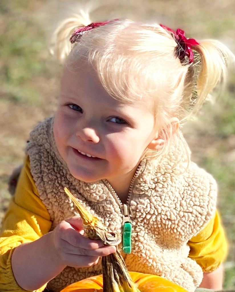 babywisp's tweet photo. Happy Canadian Thanksgiving! 🍂

Enjoy our BOGO Sale on all Velvet Bows with code: BOGOVELVET https://t.co/pNJS2vSXto

#thanksgiving #grateful #autumn #fall #pumpkin #babyfashion #bogosale #buyonegetonefree #babystyle #babybows #velvetbows #hairclips #shopsmall https://t.co/bfO8JdypCn