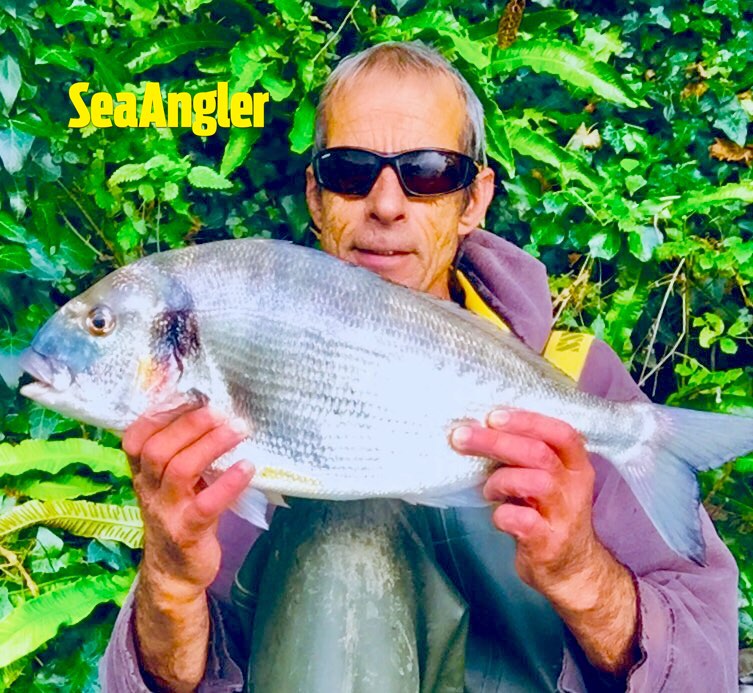 Martin Larkin, from Plymouth, says: “I caught this stunning gilthead on my mullet rod and freelined crab. Fight was awesome on light line.” The fish was caught in a Devon river and weighed 5lb 11oz.