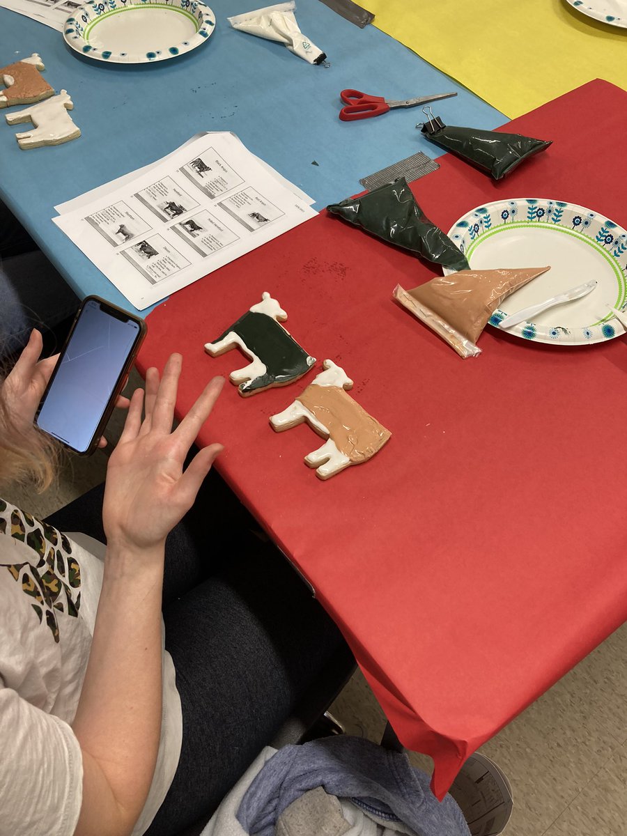 kcalvetsci's tweet photo. Our student teacher Ms. Dowdy spent all weekend making 180 cattle cookies for Advanced Animal Science so they could practice beef cattle classification. They are choosing two beef breeds to breed in order to create the ultimate hybrid! 🐂🐮 https://t.co/SIfFFcDz2d