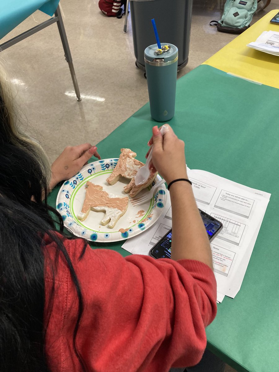 kcalvetsci's tweet photo. Our student teacher Ms. Dowdy spent all weekend making 180 cattle cookies for Advanced Animal Science so they could practice beef cattle classification. They are choosing two beef breeds to breed in order to create the ultimate hybrid! 🐂🐮 https://t.co/SIfFFcDz2d