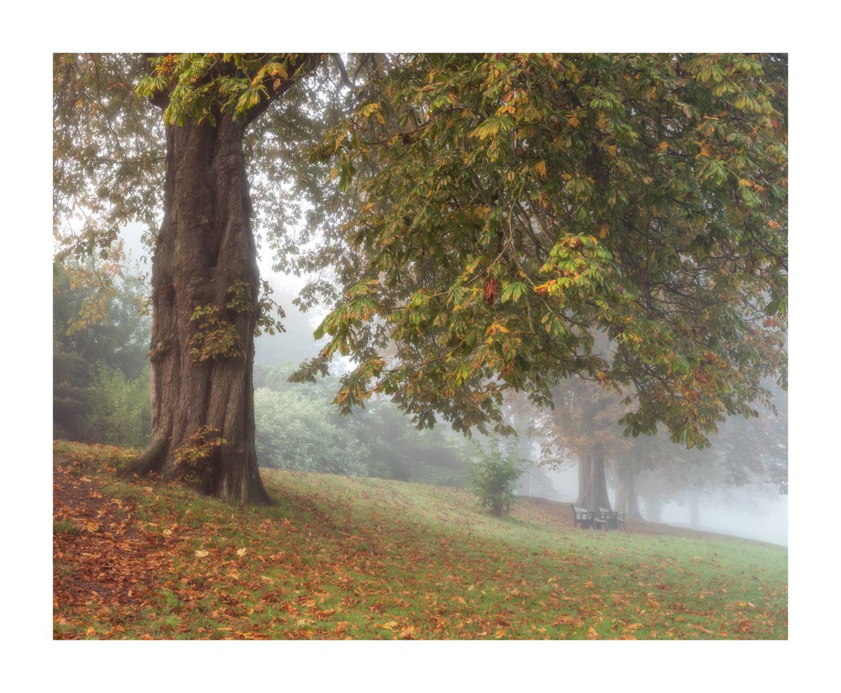 _Ryan_Kerr's tweet photo. Autumn Fog #WexMondays #fsprintmonday #Sharemondays2021 https://t.co/gimjKui8AB