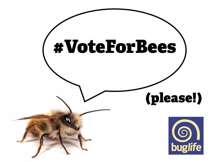 Buzz_dont_tweet's tweet photo. Help make sure pollinators are protected by asking your MP to vote for bees and keep clause 75 in the Environment Bill.
Get involved here 👇
https://t.co/v6LE5QEccc
#VoteForBees 🐝 https://t.co/7VqsYCvCsp