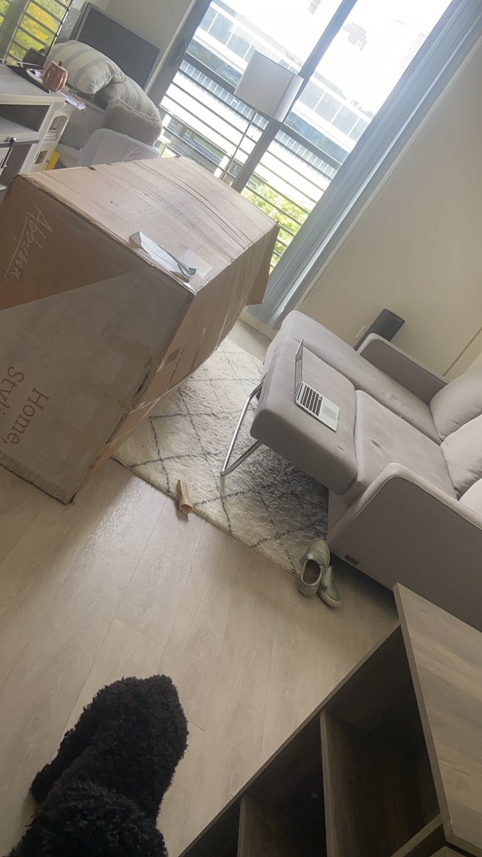 kyleellenxo's tweet photo. Thanks a lot @Wayfair for NOT taking this broken couch like I was told &amp; leaving my living room unusable until you can “maybe” get a pick up team here in 72 hours 🤬🤬🤬 https://t.co/7xA9SQWSyh