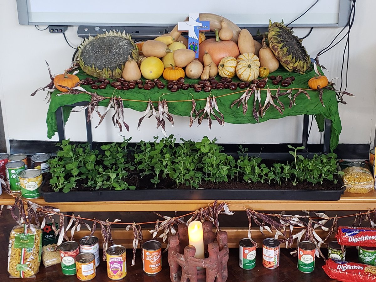 StJamesIDerby's tweet photo. All set for our first day of Harvest celebrations!🥕🎃 https://t.co/fVB8je4ufA