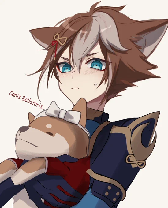 柴犬座・・・! 