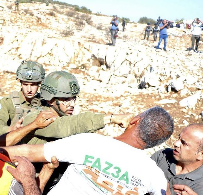 #Israeli occupation forces attacked &amp; assaulted #Palestinian activists helping Palestinian farmers with their olive harvest near Salfit today. <a href="/MEeye18/">ME_EYE</a>  #BDS