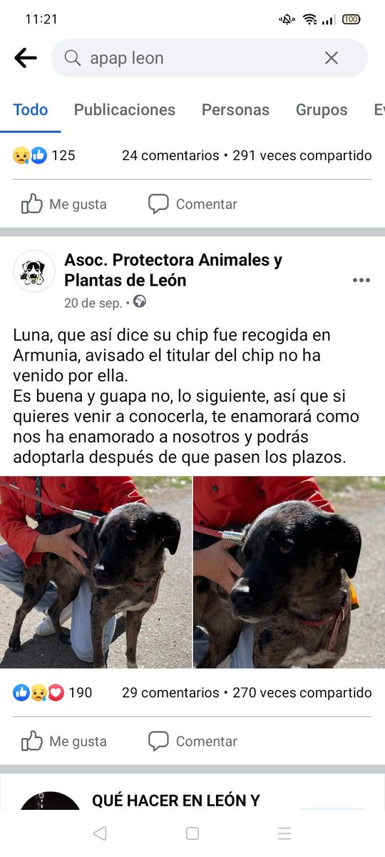 Luna Standford tweet media