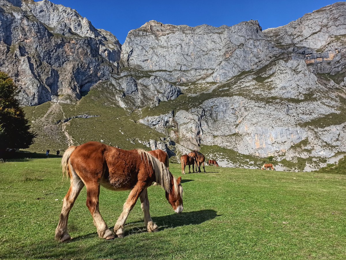 _chemon_'s tweet photo. Menuda semana a pleno 🌞 en @cant_infinita 🤩 https://t.co/t5k6ZghBrP