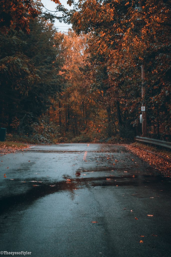 Theeyesoftyler's tweet photo. Fall Tones>>Any other Tones
#photo #fall #Ontario #Canada #Thanksgiving #travel #falltones #photography #NaturePhotography #londonont #travelon #discoveron https://t.co/HZEwCyLYZO