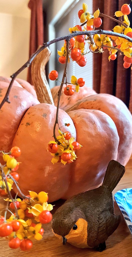LivingCozy's tweet photo. I am in #Love with our beautiful #Pumpkins of this year!
👼🍂🧡🏡🧡🍂👼
📸 LivingCozyHome&Pumpkins
#FallInLove #pumpkins #Homemaking #Fall #Autumn #BlessedAndGrateful #ILovePumkins #OctoberGirl https://t.co/kJ7wcXYSq2