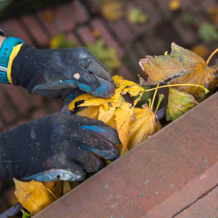 Spring is usually the season for deep home cleaning and freshening while fall is for annual system checks, maintenance, and repairs aimed at ensuring a safe, comfortable inside environment for winter. #sistarecarpets pbxx.it/Spy0Gh