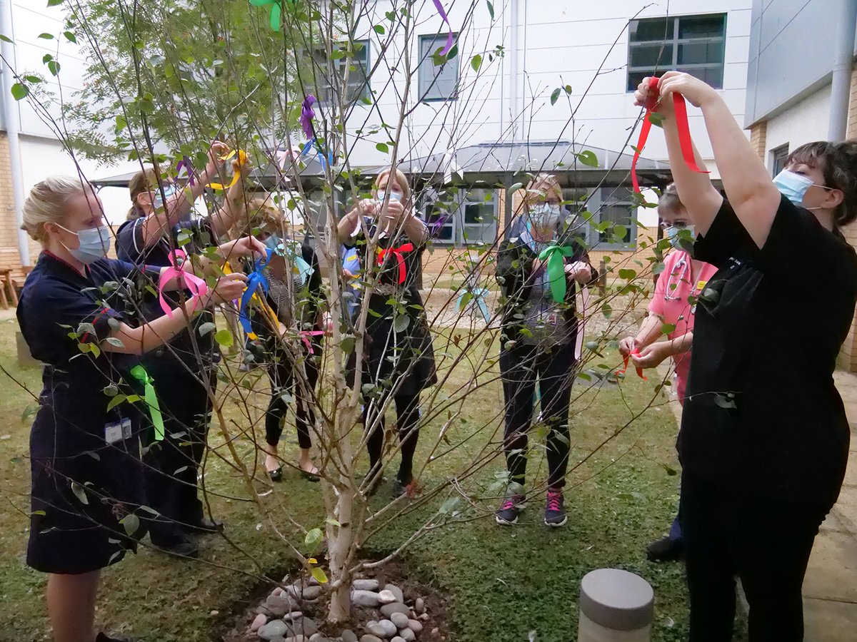 RoyalDevonNHS's tweet photo. To mark Baby Loss Awareness Week staff tied ribbons to the tree in our bereavement garden. Take care of yourselves and please remember that you are not alone. For more information about Baby Loss Awareness Week, please click here: https://t.co/zVFxxYw1lr https://t.co/wQTLl2p5kq