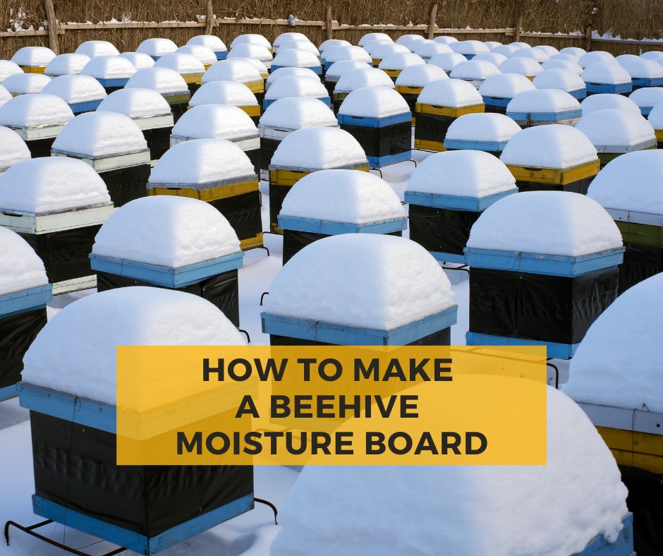 mannlake's tweet photo. Once winter hits, your bees will be working hard to keep the inside of the hive warm! 🐝 Help regulate the hive's humidity with a moisture board.

Read our blog to learn how to make a moisture board: https://t.co/8vmmYJmRa2

#mannlake #weknowbees #honeybees #bees #winter #blog https://t.co/5exY8Tqv1L