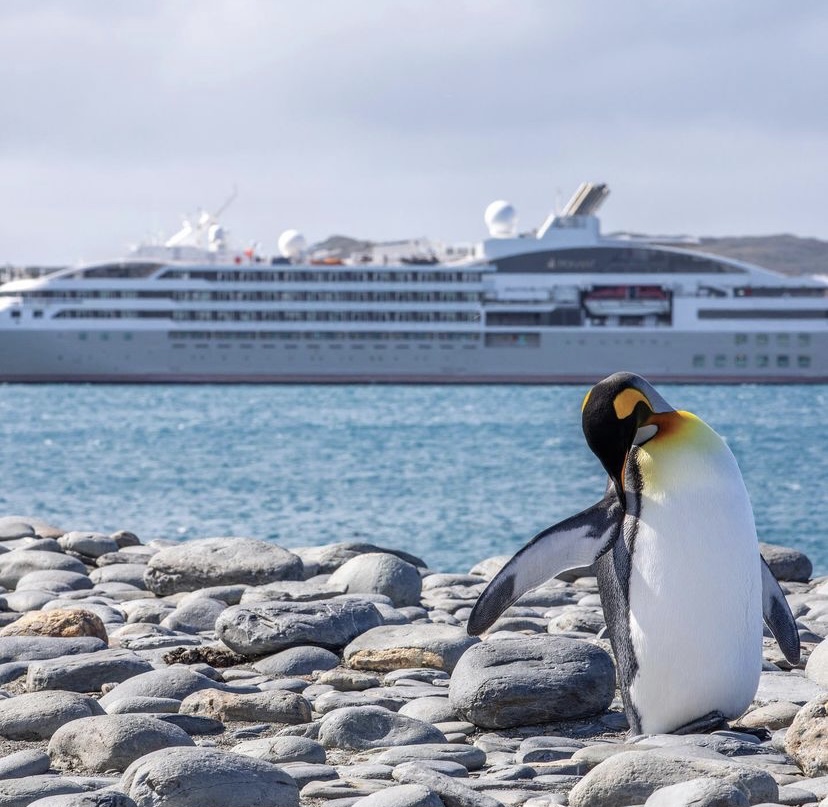 LDPR's tweet photo. Happy #ExplorersDay! Experience wildlife-rich South Georgia with @AKTravel_USA and discover legendary sites that tell the inspiring tale of Antarctica’s greatest explorer, Sir Ernest Shackleton.
Click the link below and book this January adventure today!
https://t.co/XhmDQqFz2X https://t.co/Ly8zzVbU1x