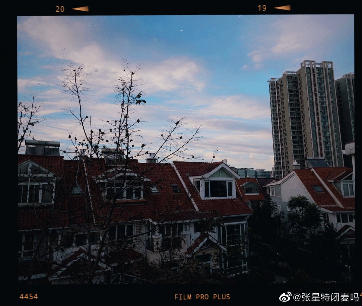 forxingte's tweet photo. 211011 ♡ weibo update (1)

— #ZhangXingte #张星特 https://t.co/B89eI82rot