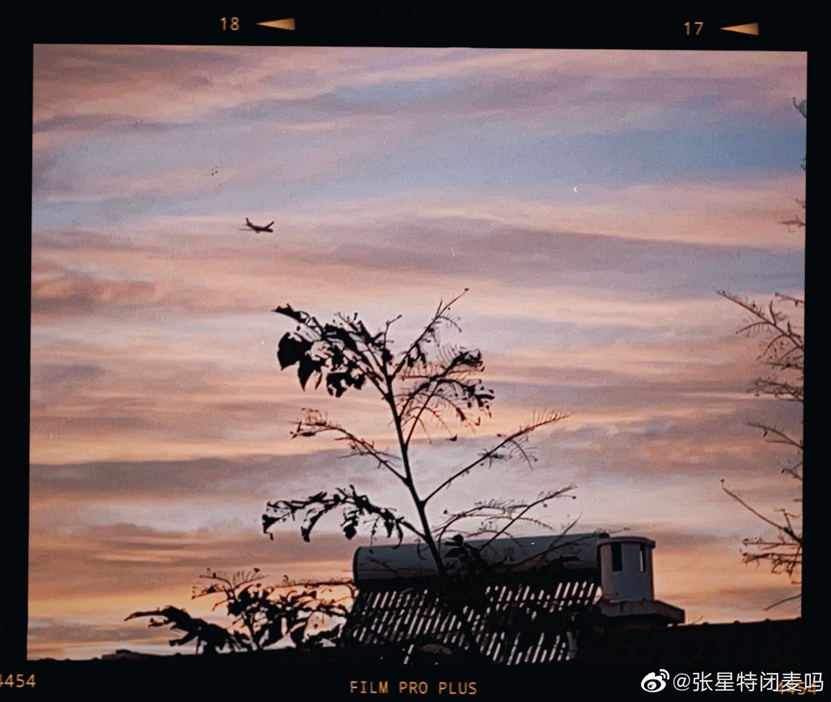 forxingte's tweet photo. 211011 ♡ weibo update (1)

— #ZhangXingte #张星特 https://t.co/B89eI82rot