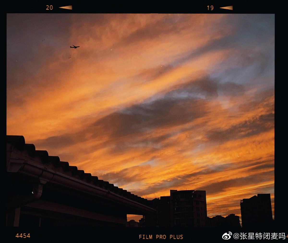 forxingte's tweet photo. (3)

— #ZhangXingte #张星特 https://t.co/4HS4oQXDYF