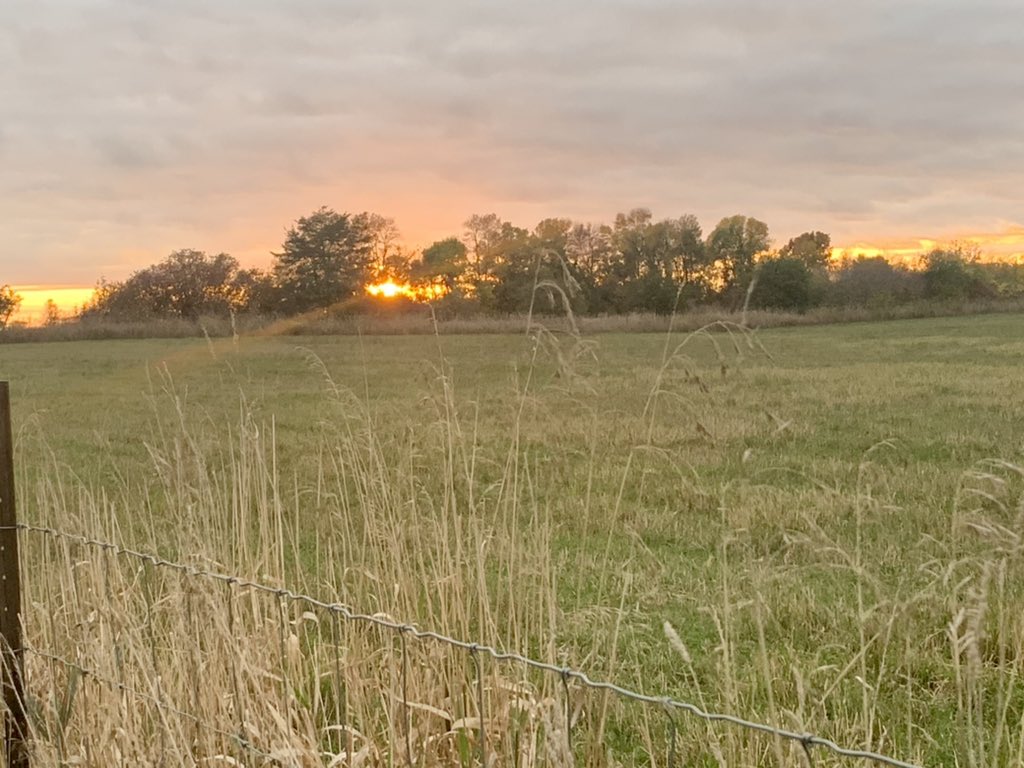 Midpoint Meadows (@midpointmeadows) on Twitter photo 