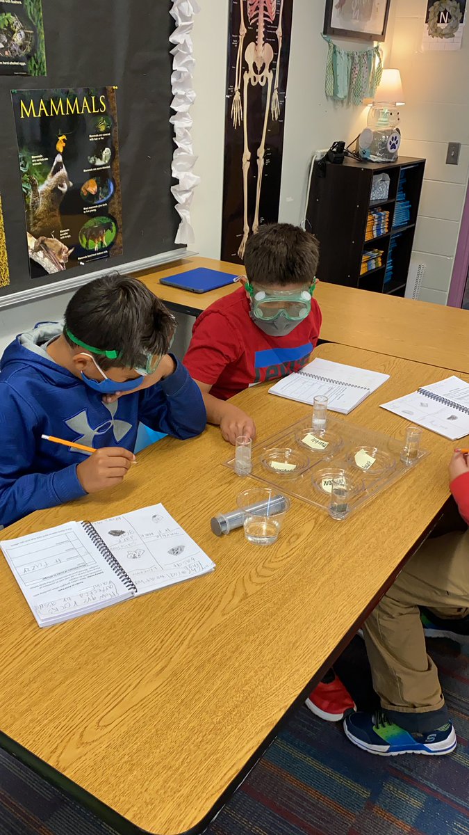 BWsciencenews's tweet photo. Using vinegar with our rocks to explore chemical weathering. The questioning going on in here is so impressive! #steambw #sciencebw https://t.co/jpoRqpdXVY