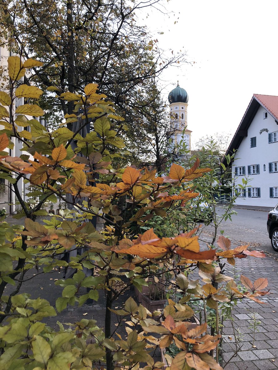 SVDs-at-target (@svds_at_target) on Twitter photo Everything is ready for our Final General Assembly Meeting tomorrow in Munich👏 and we‘re excited&happy to finally have a physical meeting again🥳Now after a first pre-meeting at <a href="/ISD_Research/">ISD Research</a> everybody is looking forward to a great italian dinner at Trattoria Quattro Mori 😋 Everything is ready for our Final General Assembly Meeting tomorrow in Munich👏 and we‘re excited&happy to finally have a physical meeting again🥳Now after a first pre-meeting at <a href="/ISD_Research/">ISD Research</a> everybody is looking forward to a great italian dinner at Trattoria Quattro Mori 😋