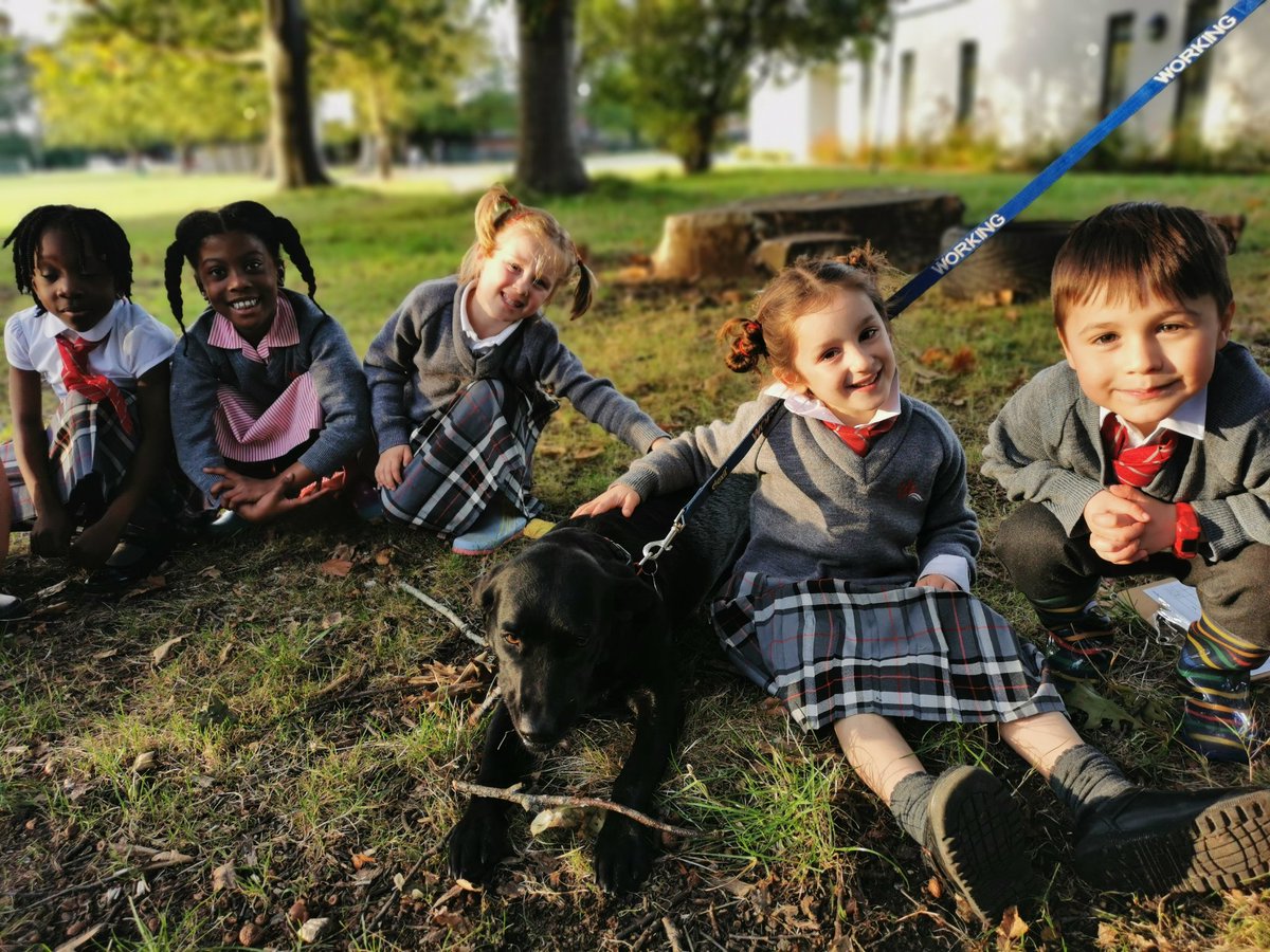 YateleyManorSch's tweet photo. Because the sun is shining, Pre-Prep club has consisted of a walk around the grounds and a play at Woodland Learning! #yateleymanorpreprep #club #woodlandlearning #happiness https://t.co/kGlSjKWwCn