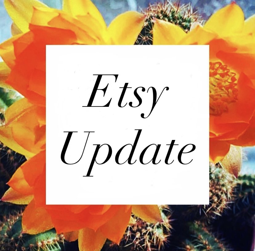 launch_cacti's tweet photo. ✨👻ETSY UPDATE👻✨
Shop restock in the next few days, I have sold out of everything else on there🥺 🤍
One spook RSP left…Keep an eye out 👀
#cacti #cactus #succulents #cactilover #cactishop #launchcacti #shopsmallbusiness #cactusshop #reducereuserepurpose #etsyuk #etsyseller https://t.co/S7XWA31bmD