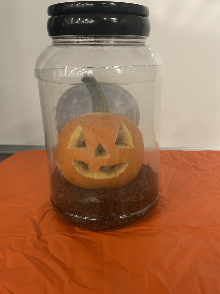 Courtney Kaler tweet media