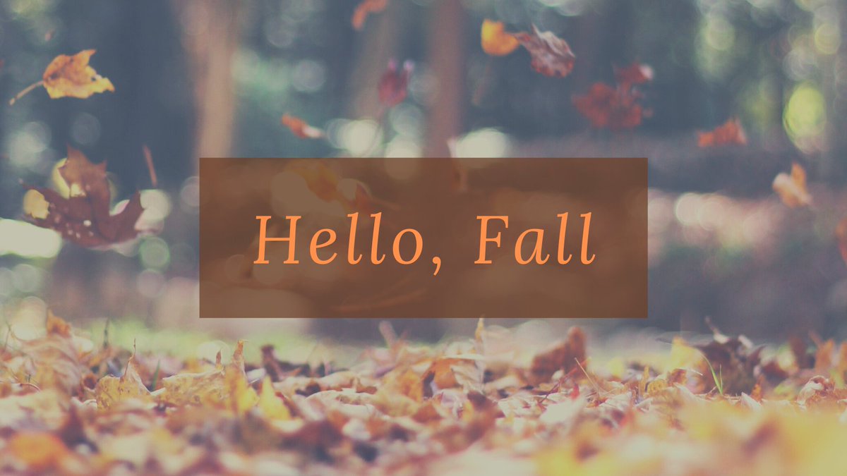 Modern Girl Friday tweet media