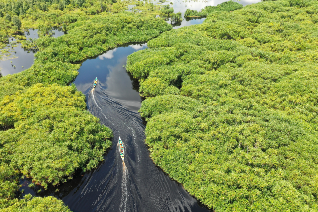 BizDevDC's tweet image. KPMG just announced the launch of a multi-year program to accelerate global solutions for Environmental, Social and Governance (#ESG) issues; plans to spend more than $1.5B to focus on the ESG change agenda. Read more in the press release. bit.ly/3BC54kM