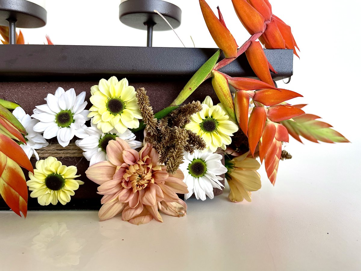 flowercircus_nl's tweet photo. What a magnificent autumn arrangement Max Hurtaud created during our Chrysanthemum Show with @Deliflor!๐๐
๐ผ Yin Yang White
๐ผ Yin Yang Cream
๐ผ Baltica Salmon
๐ฟ Tillandsia Dyeriana
Watch process of creation - https://t.co/JGpyQ4Oktt
#FlowerShow #floraltutorial #floristry https://t.co/hmg65938Ln