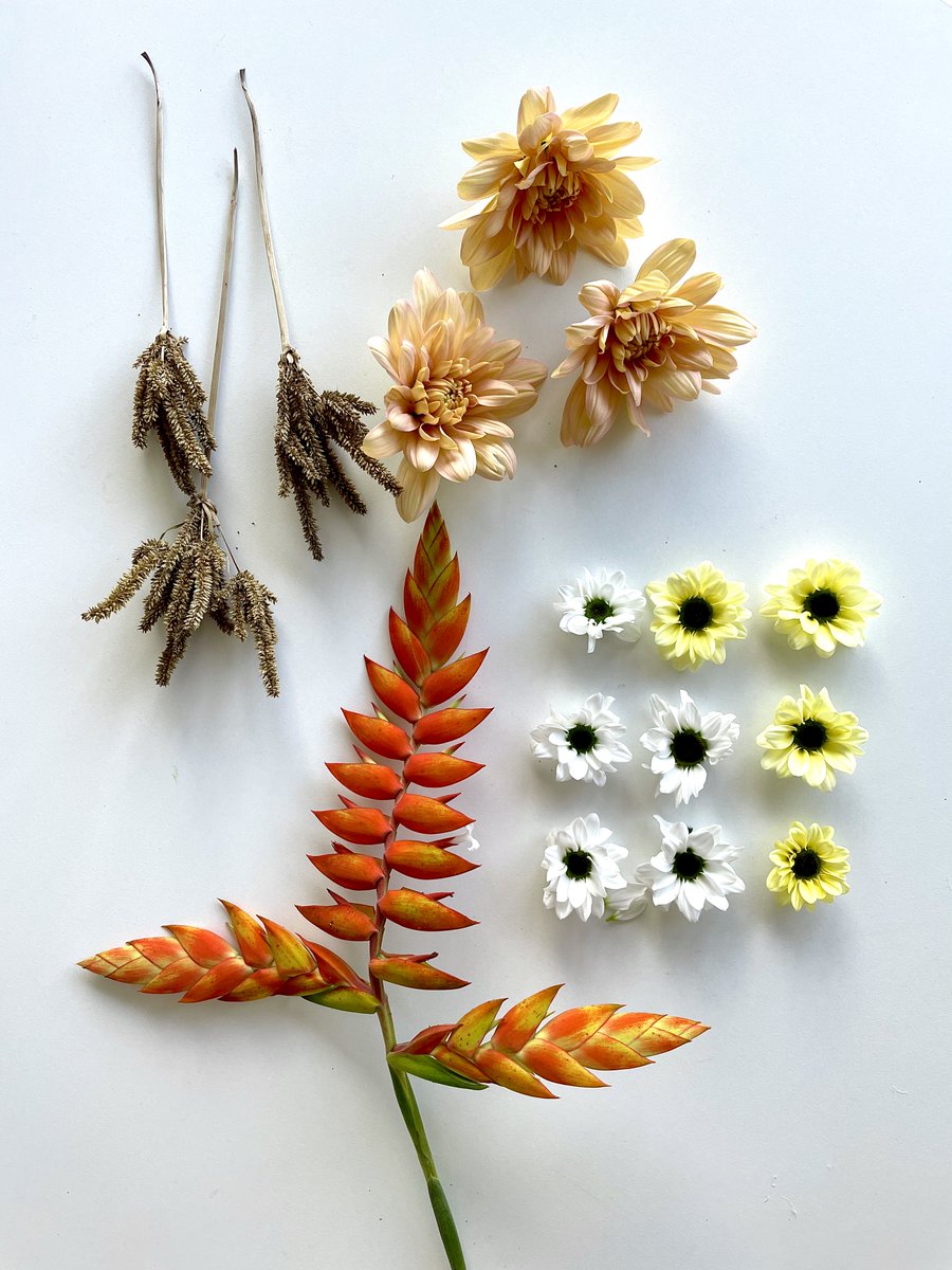 flowercircus_nl's tweet photo. What a magnificent autumn arrangement Max Hurtaud created during our Chrysanthemum Show with @Deliflor!๐๐
๐ผ Yin Yang White
๐ผ Yin Yang Cream
๐ผ Baltica Salmon
๐ฟ Tillandsia Dyeriana
Watch process of creation - https://t.co/JGpyQ4Oktt
#FlowerShow #floraltutorial #floristry https://t.co/hmg65938Ln