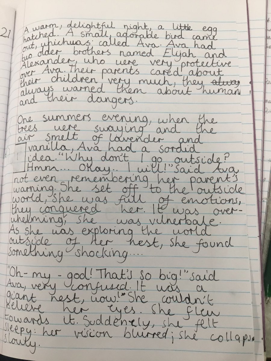 Following Year 5’s trip to Martin Mere wetlands, Year 5 created a four paragraph narrative inspired by Ava! #kingsley #kingsleywriting #generationwild