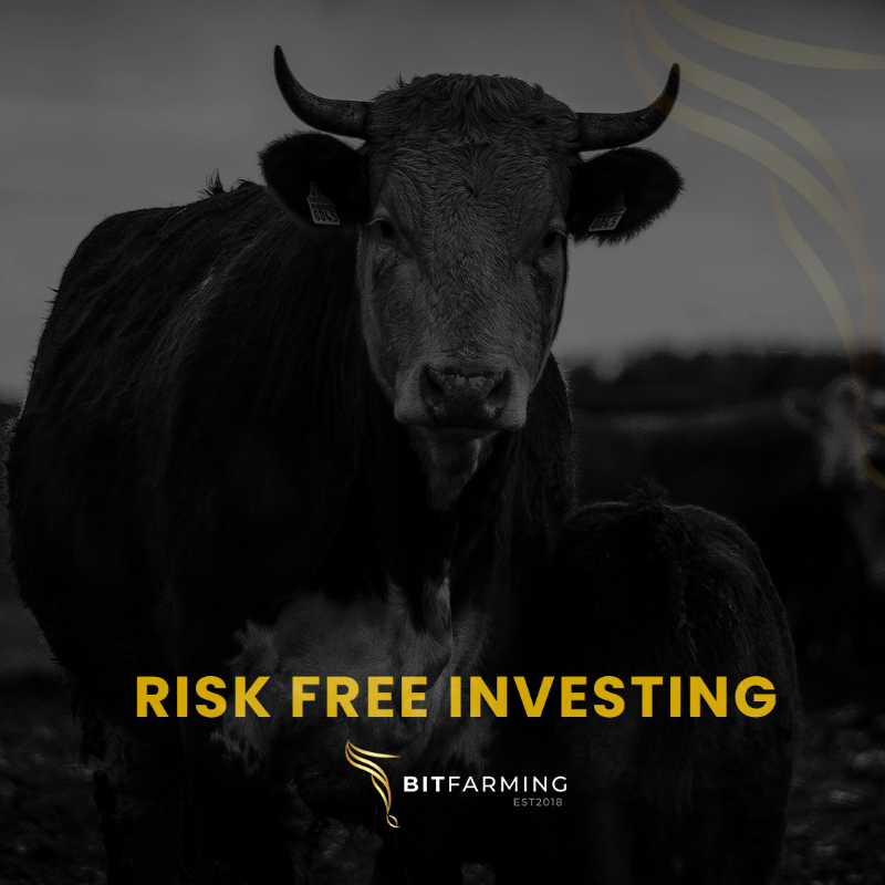 Bitfarming1's tweet photo. Buy livestock and earn unparalleled profits without owning a farm.

Buy, Farm and Earn.
