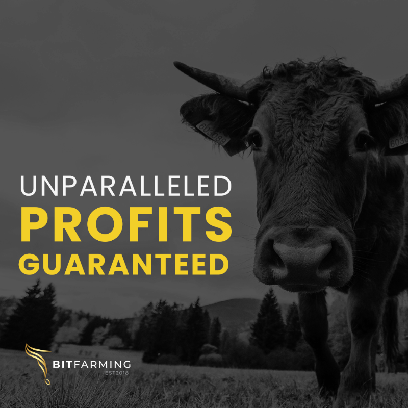 Bitfarming1's tweet photo. Buy livestock and earn unparalleled profits without owning a farm.

Buy, Farm and Earn.