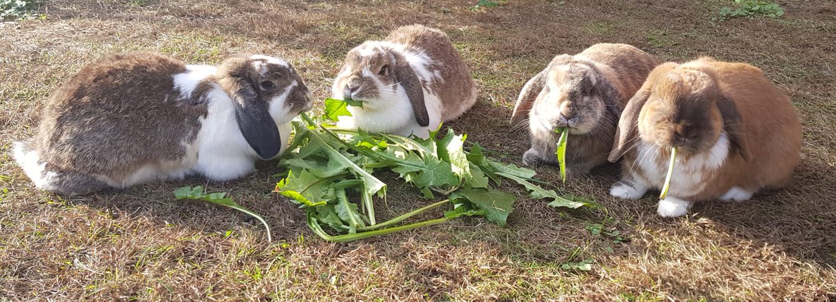 Gunils drumkit 🤘 tweet media