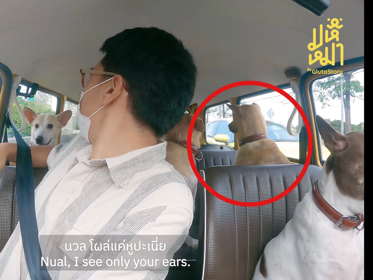 GlutaStory's tweet photo. สนิมผู้คิดต่าง https://t.co/KynYIpdJMJ
