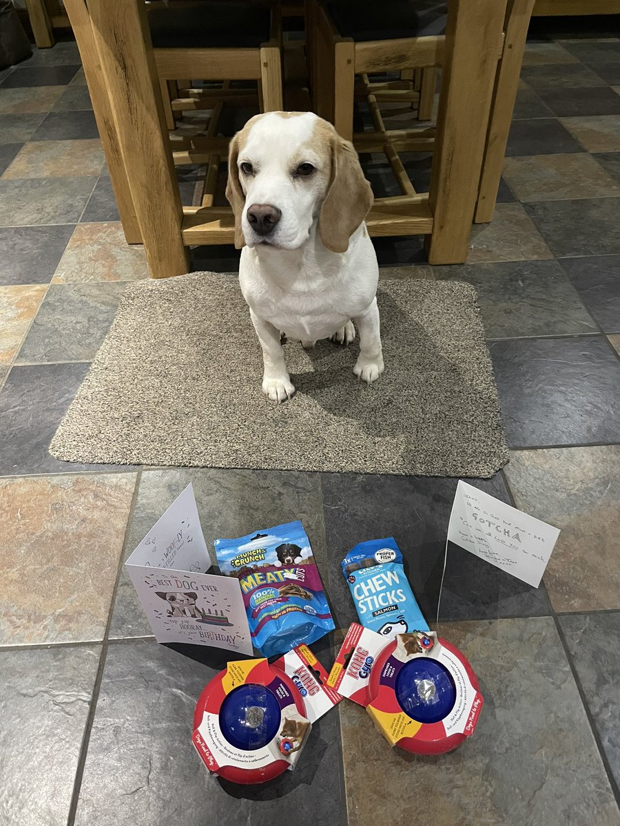 bluesbeagles's tweet photo. Thank you our gorgeous girlies, we love our gifts.  Hope to see you soon, we miss you 😍😍😘😘💕💕 @6of6s https://t.co/ydDqAQBUHS