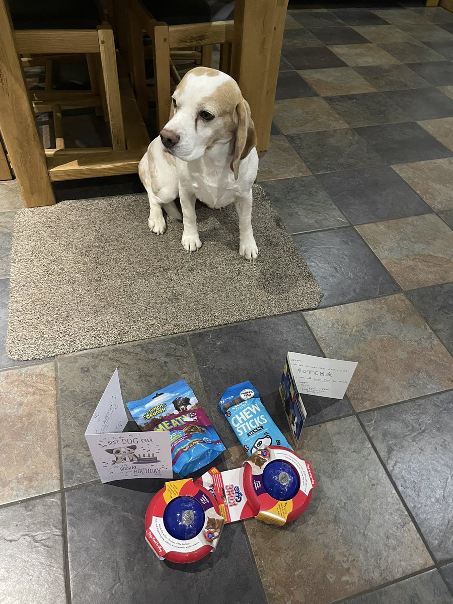 bluesbeagles's tweet photo. Thank you our gorgeous girlies, we love our gifts.  Hope to see you soon, we miss you 😍😍😘😘💕💕 @6of6s https://t.co/ydDqAQBUHS