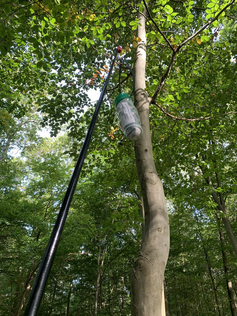 Mbone_204's tweet photo. Heute ein Rund geangelt. Waren recht Große Fische. Der Bonus war dementsprechend auch schön Groß:-). #Cachefrequenz #GoGeocaching https://t.co/tHj3crgb7f