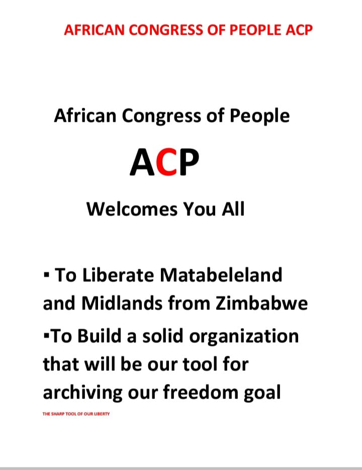 We the game changer in Zimbabwe system Nd Zimbabwe politics .  We want to liberate people of matebeland Nd manicaland from the Zanu pf system that introduced to weaken Nd destroy our state today we are being ruled by gun.we turning the tables different approach.