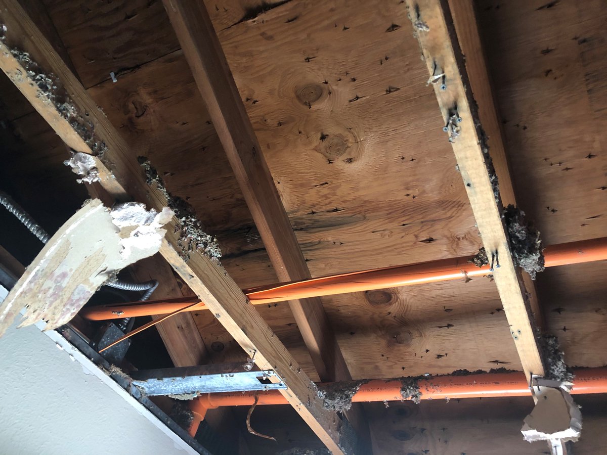 L5Arch's tweet image. The freeze in February caused this broken pipe. The damages were so significant, but we are helping to put the church building back together. #level5architecture #txarchitects #ararchitects #februaryfreeze #brokenpipes