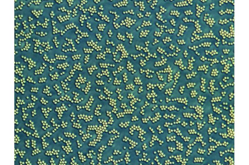 ComedyForest's tweet image. '13,800 World Scientists Give Stark Warning of a 2021 Climate Emergency'

Granted they're a bit biased by wanting to live.

__
academic.oup.com/bioscience/adv…