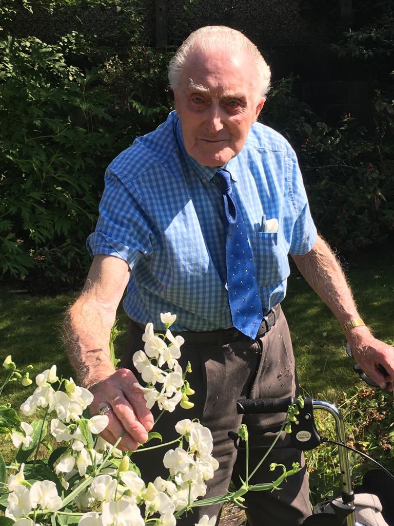Roy’s been tending to the sunflowers and sweat peas all summer..they’ve bloomed lovely 🌻🌻🌻 #SunFlowers #SweetPea #Gardening #HappyLiving