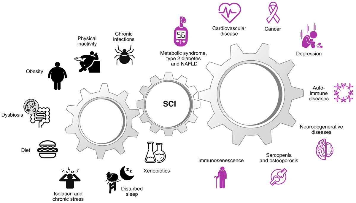 #EU must strengthen research into the links between rheumatic and musculoskeletal diseases (#RMDs), chronic inflammation and cancer. #WAD @ArthritisDay @EP_BeatCancer #HorizonEU #EUCancerPlan doi.org/10.1038/s41591…